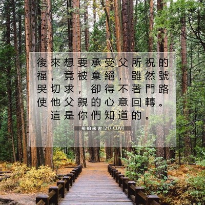 Picture 07 - 希 伯 來 書 12:17 CUVT - 後 來 想 要 承 受 父 所 祝 的 福 ， - Bible Verse Picture