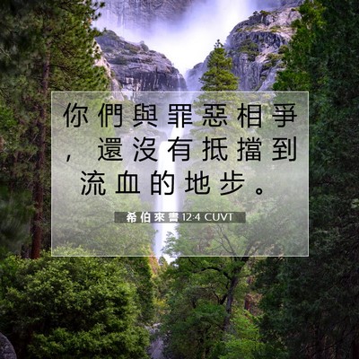 Picture 07 - 希 伯 來 書 12:4 CUVT - 你 們 與 罪 惡 相 爭 ， 還 沒 有 抵 - Bible Verse Picture