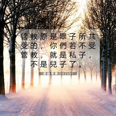 Picture 07 - 希 伯 來 書 12:8 CUVT - 管 教 原 是 眾 子 所 共 受 的 ， 你 - Bible Verse Picture
