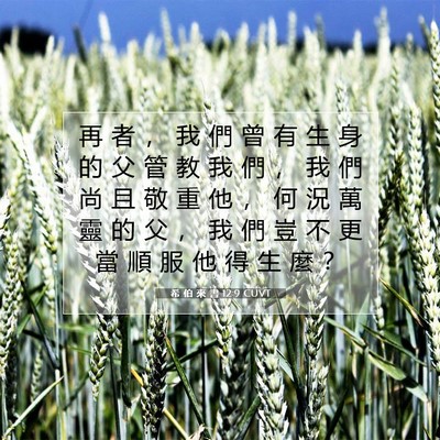 Picture 07 - 希 伯 來 書 12:9 CUVT - 再 者 ， 我 們 曾 有 生 身 的 父 管 - Bible Verse Picture