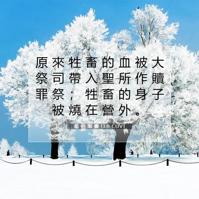 Picture 07 - 希 伯 來 書 13:11 CUVT - 原 來 牲 畜 的 血 被 大 祭 司 帶 入 - Bible Verse Picture