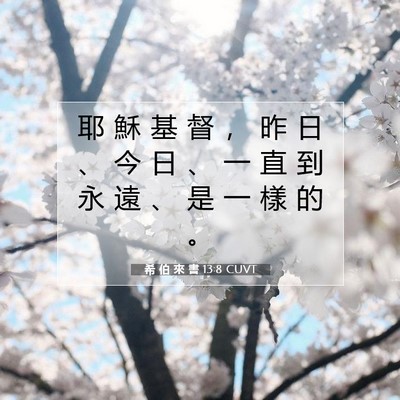 Picture 07 - 希 伯 來 書 13:8 CUVT - 耶 穌 基 督 ， 昨 日 、 今 日 、 一 - Bible Verse Picture