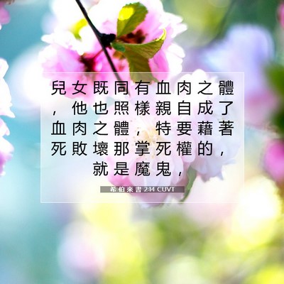 Picture 07 - 希 伯 來 書 2:14 CUVT - 兒 女 既 同 有 血 肉 之 體 ， 他 也 - Bible Verse Picture
