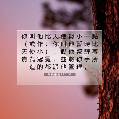 Picture 07 - 希 伯 來 書 2:7 CUVT - 你 叫 他 比 天 使 微 小 一 點 （ 或 - Bible Verse Picture