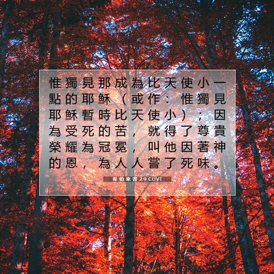 Picture 07 - 希 伯 來 書 2:9 CUVT - 惟 獨 見 那 成 為 比 天 使 小 一 點 - Bible Verse Picture