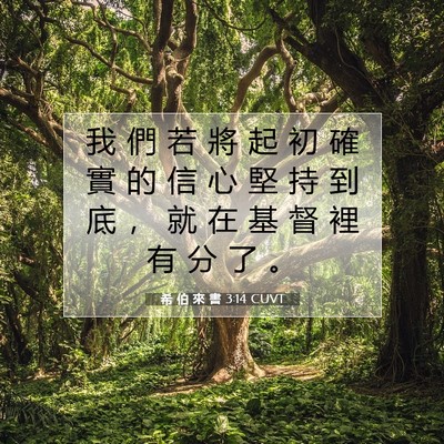 Picture 07 - 希 伯 來 書 3:14 CUVT - 我 們 若 將 起 初 確 實 的 信 心 堅 - Bible Verse Picture