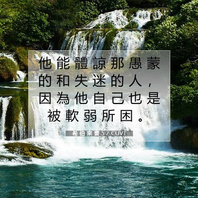 Picture 07 - 希 伯 來 書 5:2 CUVT - 他 能 體 諒 那 愚 蒙 的 和 失 迷 的 - Bible Verse Picture