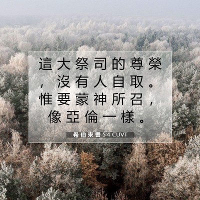 Picture 07 - 希 伯 來 書 5:4 CUVT - 這 大 祭 司 的 尊 榮 ， 沒 有 人 自 - Bible Verse Picture
