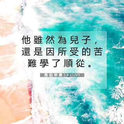 Picture 07 - 希 伯 來 書 5:8 CUVT - 他 雖 然 為 兒 子 ， 還 是 因 所 受 - Bible Verse Picture