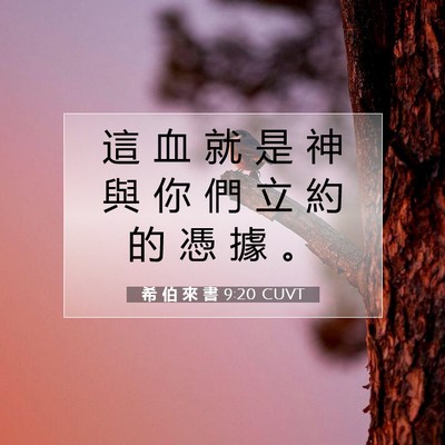 Picture 07 - 希 伯 來 書 9:20 CUVT - 這 血 就 是 神 與 你 們 立 約 的 憑 - Bible Verse Picture