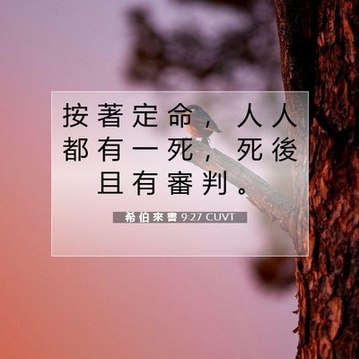 Picture 07 - 希 伯 來 書 9:27 CUVT - 按 著 定 命 ， 人 人 都 有 一 死 ， - Bible Verse Picture