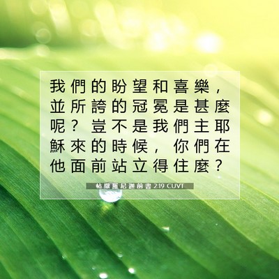 Picture 07 - 帖 撒 羅 尼 迦 前 書 2:19 CUVT - 我 們 的 盼 望 和 喜 樂 ， 並 所 誇 - Bible Verse Picture