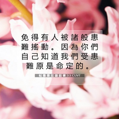 Picture 07 - 帖 撒 羅 尼 迦 前 書 3:3 CUVT - 免 得 有 人 被 諸 般 患 難 搖 動 。 - Bible Verse Picture