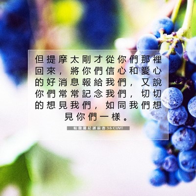Picture 07 - 帖 撒 羅 尼 迦 前 書 3:6 CUVT - 但 提 摩 太 剛 才 從 你 們 那 裡 回 - Bible Verse Picture