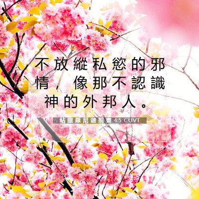 Picture 07 - 帖 撒 羅 尼 迦 前 書 4:5 CUVT - 不 放 縱 私 慾 的 邪 情 ， 像 那 不 - Bible Verse Picture