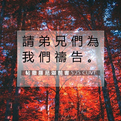 Picture 07 - 帖 撒 羅 尼 迦 前 書 5:25 CUVT - 請 弟 兄 們 為 我 們 禱 告 - Bible Verse Picture