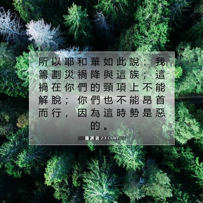 Picture 07 - 彌 迦 書 2:3 CUVT - 所 以 耶 和 華 如 此 說 ： 我 籌 劃 - Bible Verse Picture
