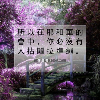 Picture 07 - 彌 迦 書 2:5 CUVT - 所 以 在 耶 和 華 的 會 中 ， 你 必 - Bible Verse Picture