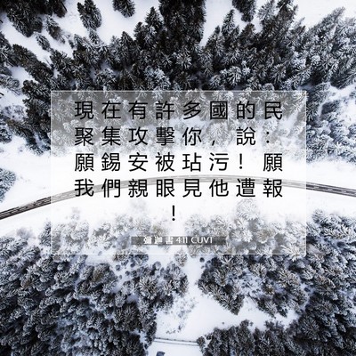 Picture 07 - 彌 迦 書 4:11 CUVT - 現 在 有 許 多 國 的 民 聚 集 攻 擊 - Bible Verse Picture