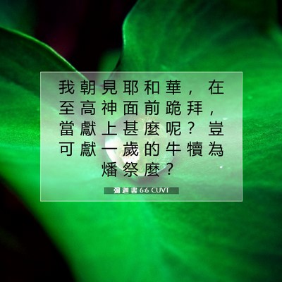 Picture 07 - 彌 迦 書 6:6 CUVT - 我 朝 見 耶 和 華 ， 在 至 高 神 面 - Bible Verse Picture