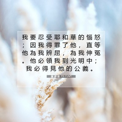 Picture 07 - 彌 迦 書 7:9 CUVT - 我 要 忍 受 耶 和 華 的 惱 怒 ； 因 - Bible Verse Picture