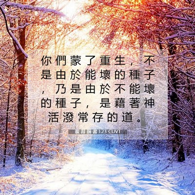 Picture 07 - 彼 得 前 書 1:23 CUVT - 你 們 蒙 了 重 生 ， 不 是 由 於 能 - Bible Verse Picture