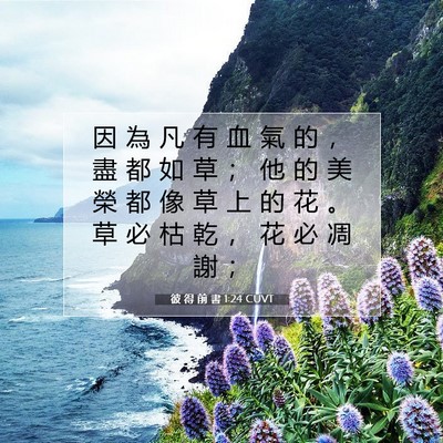 Picture 07 - 彼 得 前 書 1:24 CUVT - 因 為 凡 有 血 氣 的 ， 盡 都 如 草 - Bible Verse Picture