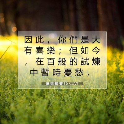 Picture 07 - 彼 得 前 書 1:6 CUVT - 因 此 ， 你 們 是 大 有 喜 樂 ； 但 - Bible Verse Picture