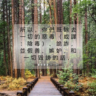 Picture 07 - 彼 得 前 書 2:1 CUVT - 所 以 ， 你 們 既 除 去 一 切 的 惡 - Bible Verse Picture