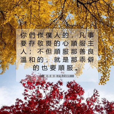 Picture 07 - 彼 得 前 書 2:18 CUVT - 你 們 作 僕 人 的 ， 凡 事 要 存 敬 - Bible Verse Picture