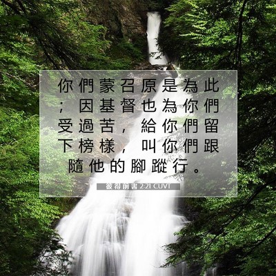 Picture 07 - 彼 得 前 書 2:21 CUVT - 你 們 蒙 召 原 是 為 此 ； 因 基 督 - Bible Verse Picture