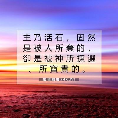 Picture 07 - 彼 得 前 書 2:4 CUVT - 主 乃 活 石 ， 固 然 是 被 人 所 棄 - Bible Verse Picture