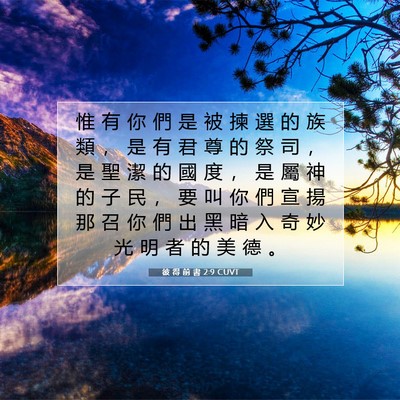 Picture 07 - 彼 得 前 書 2:9 CUVT - 惟 有 你 們 是 被 揀 選 的 族 類 ， - Bible Verse Picture