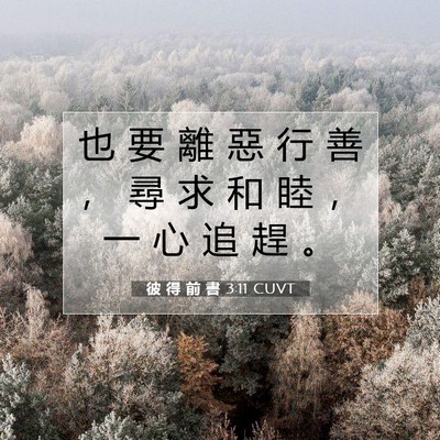Picture 07 - 彼 得 前 書 3:11 CUVT - 也 要 離 惡 行 善 ， 尋 求 和 睦 ， - Bible Verse Picture