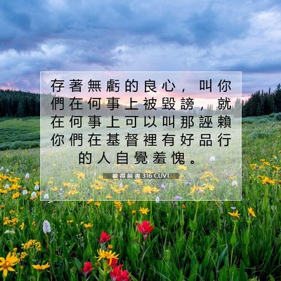 Picture 07 - 彼 得 前 書 3:16 CUVT - 存 著 無 虧 的 良 心 ， 叫 你 們 在 - Bible Verse Picture