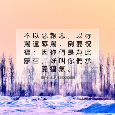 Picture 07 - 彼 得 前 書 3:9 CUVT - 不 以 惡 報 惡 ， 以 辱 罵 還 辱 罵 - Bible Verse Picture