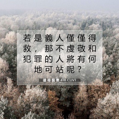 Picture 07 - 彼 得 前 書 4:18 CUVT - 若 是 義 人 僅 僅 得 救 ， 那 不 虔 - Bible Verse Picture