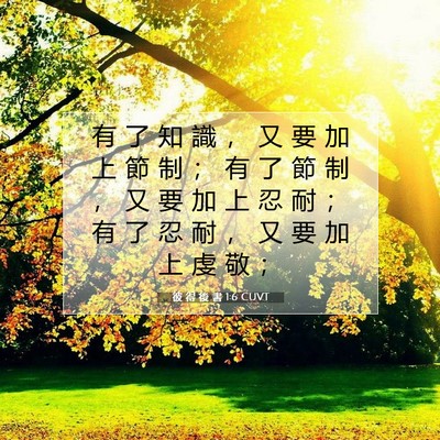 Picture 07 - 彼 得 後 書 1:6 CUVT - 有 了 知 識 ， 又 要 加 上 節 制 ； - Bible Verse Picture