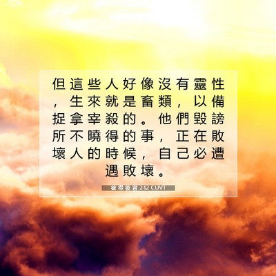 Picture 07 - 彼 得 後 書 2:12 CUVT - 但 這 些 人 好 像 沒 有 靈 性 ， 生 - Bible Verse Picture
