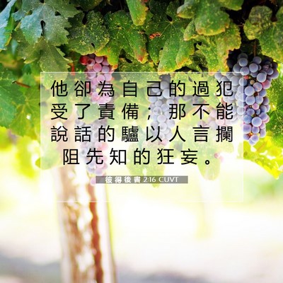 Picture 07 - 彼 得 後 書 2:16 CUVT - 他 卻 為 自 己 的 過 犯 受 了 責 備 - Bible Verse Picture