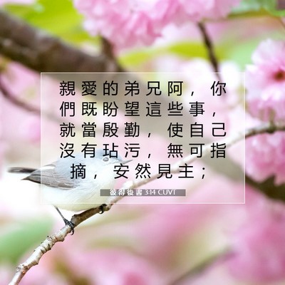 Picture 07 - 彼 得 後 書 3:14 CUVT - 親 愛 的 弟 兄 阿 ， 你 們 既 盼 望 - Bible Verse Picture