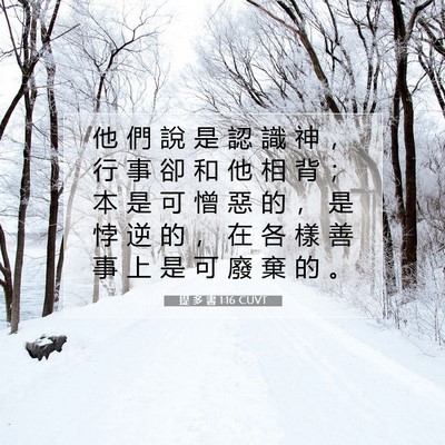 Picture 07 - 提 多 書 1:16 CUVT - 他 們 說 是 認 識 神 ， 行 事 卻 和 - Bible Verse Picture