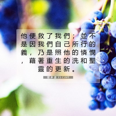 Picture 07 - 提 多 書 3:5 CUVT - 他 便 救 了 我 們 ； 並 不 是 因 我 - Bible Verse Picture