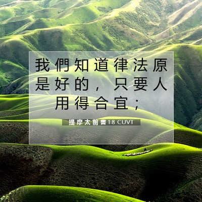 Picture 07 - 提 摩 太 前 書 1:8 CUVT - 我 們 知 道 律 法 原 是 好 的 ， 只 - Bible Verse Picture