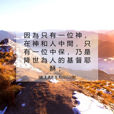 Picture 07 - 提 摩 太 前 書 2:5 CUVT - 因 為 只 有 一 位 神 ， 在 神 和 人 - Bible Verse Picture
