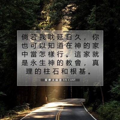 Picture 07 - 提 摩 太 前 書 3:15 CUVT - 倘 若 我 耽 延 日 久 ， 你 也 可 以 - Bible Verse Picture