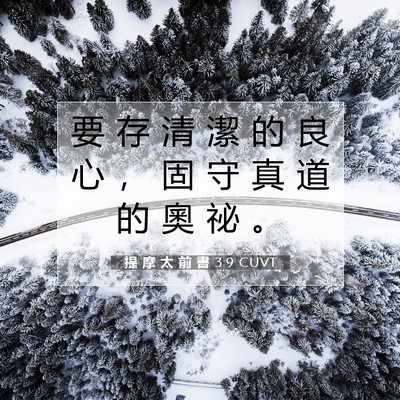 Picture 07 - 提 摩 太 前 書 3:9 CUVT - 要 存 清 潔 的 良 心 ， 固 守 真 道 - Bible Verse Picture
