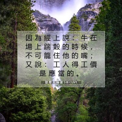 Picture 07 - 提 摩 太 前 書 5:18 CUVT - 因 為 經 上 說 ： 牛 在 場 上 踹 穀 - Bible Verse Picture