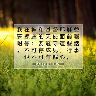 Picture 07 - 提 摩 太 前 書 5:21 CUVT - 我 在 神 和 基 督 耶 穌 並 蒙 揀 選 - Bible Verse Picture