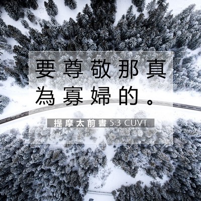 Picture 07 - 提 摩 太 前 書 5:3 CUVT - 要 尊 敬 那 真 為 寡 婦 的 - Bible Verse Picture